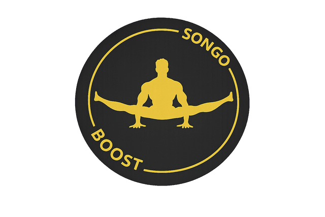 SONGOBOOST